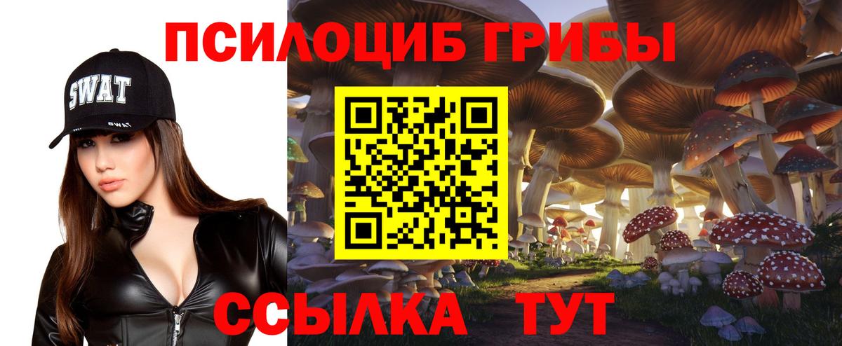 Галлюциногенные грибы мицелий  Галлюциногенные грибы Magic Shrooms  Артём 