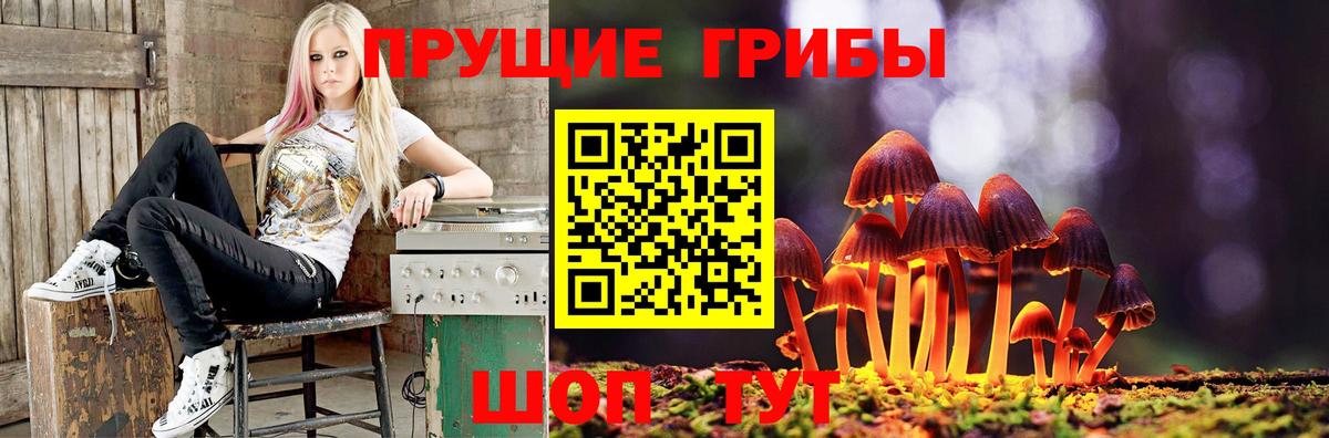 Псилоцибиновые грибы Cubensis  Вход с VPN  Артём 
