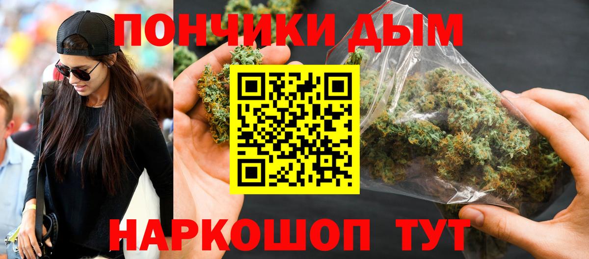 Каннабис SATIVA & INDICA Артём